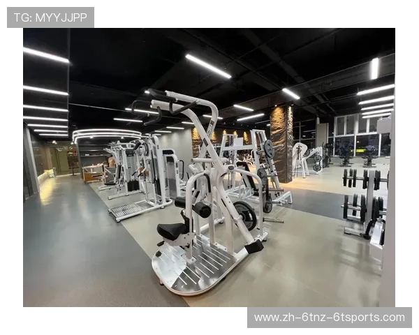 简单的健身器材有哪些：介绍几款简易而高效的健身器材